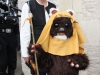 Ewok (3)